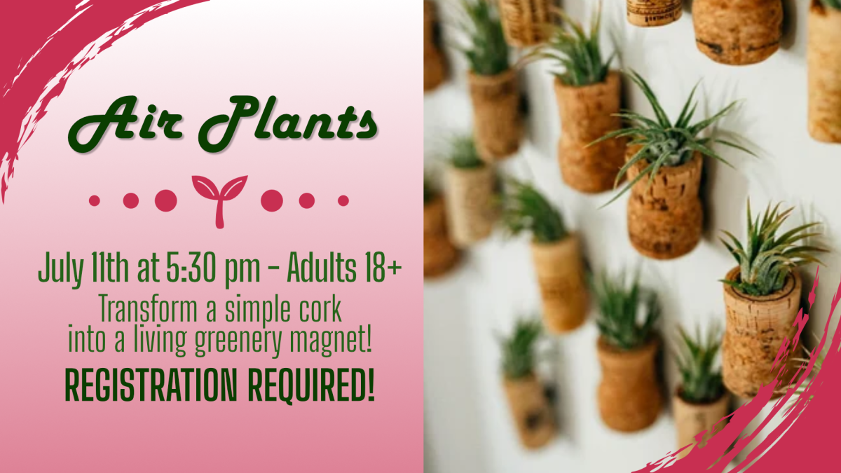 Air plants, July 11 at 5:30pm, adults 18 and older, registration required